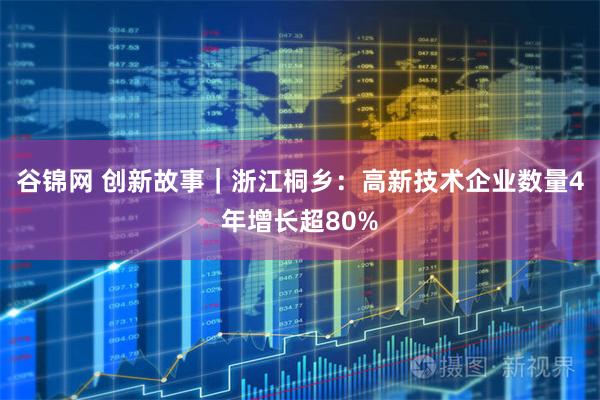 谷锦网 创新故事｜浙江桐乡：高新技术企业数量4年增长超80%